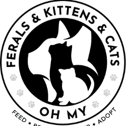 Quarter Three Rescue Partner: Ferals & Kittens & Cats Oh My